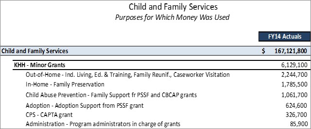 DCFS Minor Grants Detailed Purposes